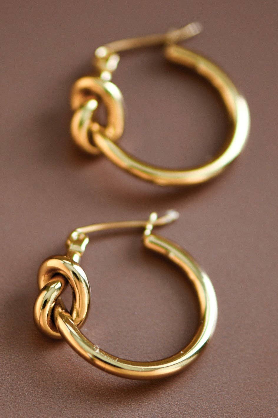 18K Gold Plated Waterproof Stainless Steel Hoop Earrings