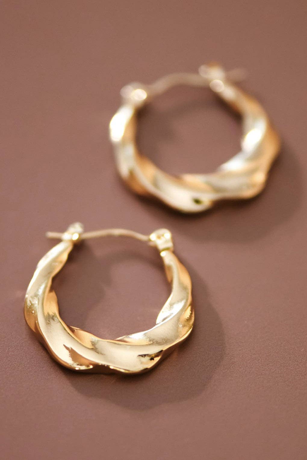 18K Gold Plated Waterproof Stainless Steel Hoop Earrings