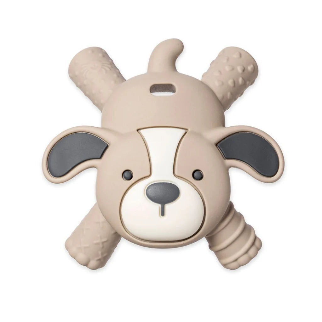 Itzy Ritzy- Ritzy Teether Baby Molar Teether