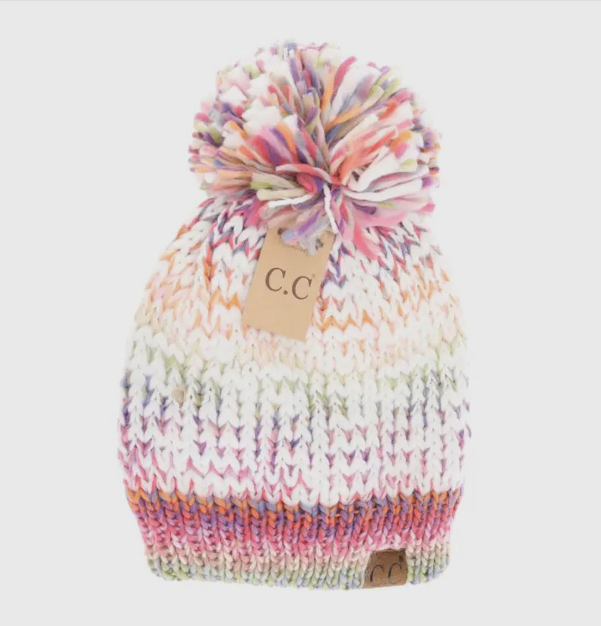 CC Multicolored Yarn Beanie